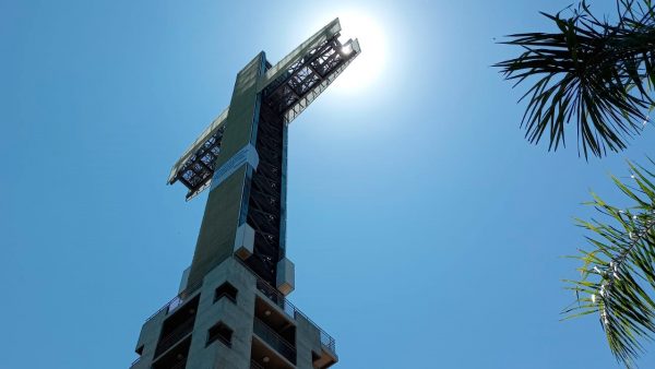 20211201_micorhizes-cruz-santa-ana-1