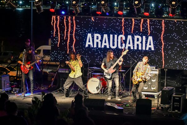 20221030_materock–01-araucaria