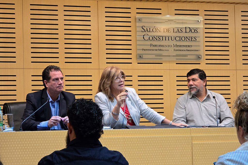 Presentaron Neo Biblio, una innovadora biblioteca digital misionera imagen-10