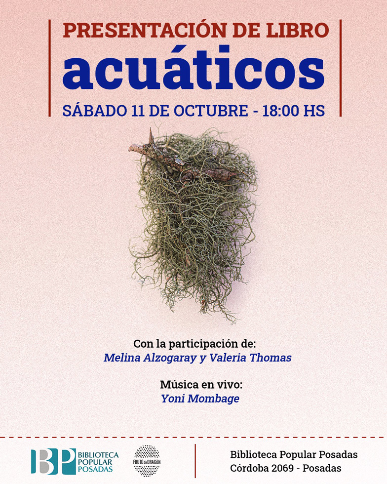 Agenda Cultural Misiones del 9 al 12 de octubre 17 Agenda Cultural Misiones del 9 al 12 de octubre imagen-16
