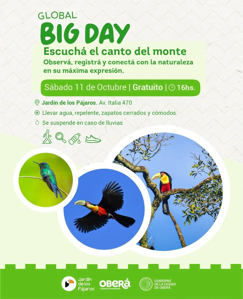 Agenda Cultural Misiones del 9 al 12 de octubre 73 Agenda Cultural Misiones del 9 al 12 de octubre imagen-72