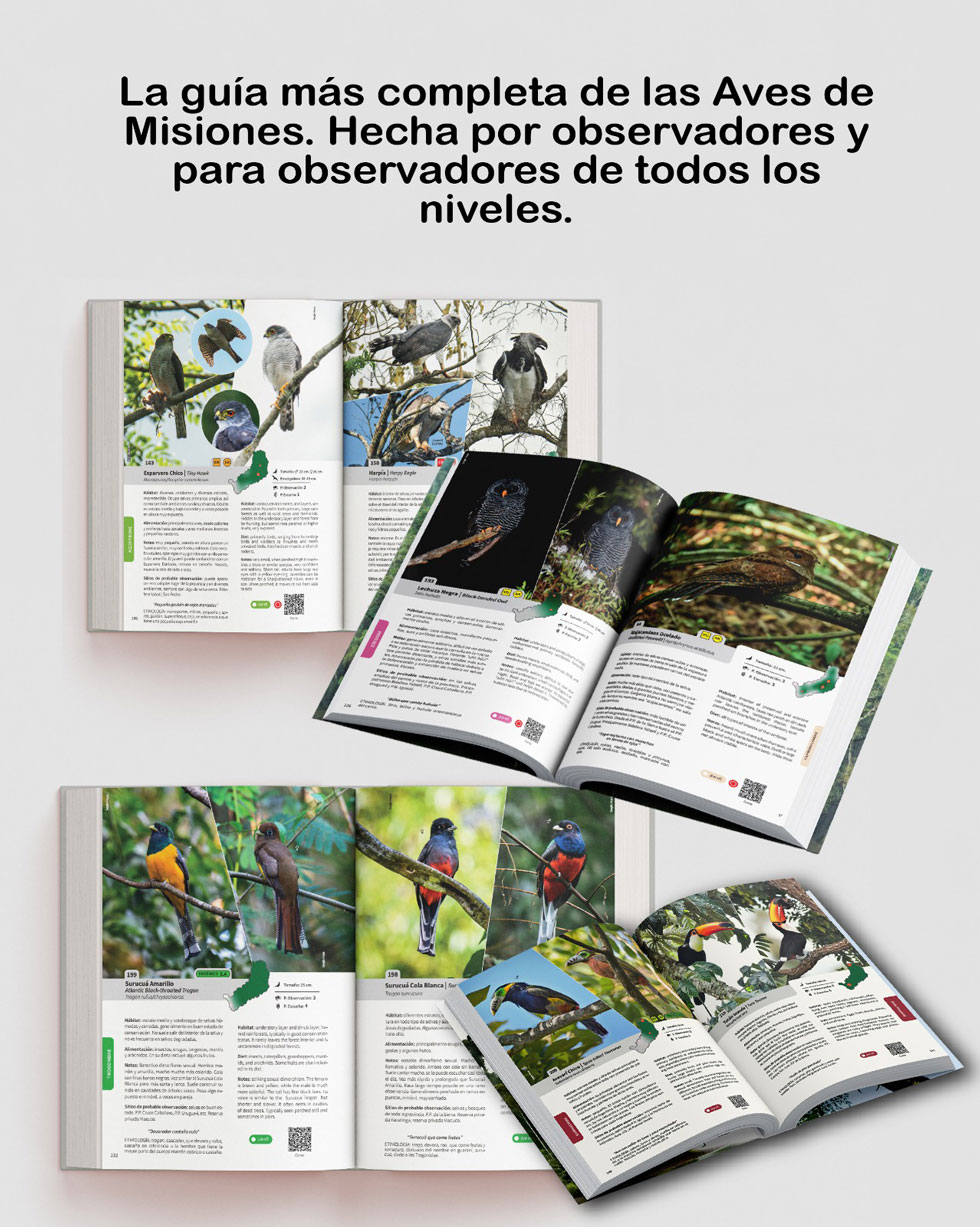 “Aves de Misiones y la Selva Atlántica”: la biodiversidad misionera toma la palabra en la Feria del Libro imagen-8