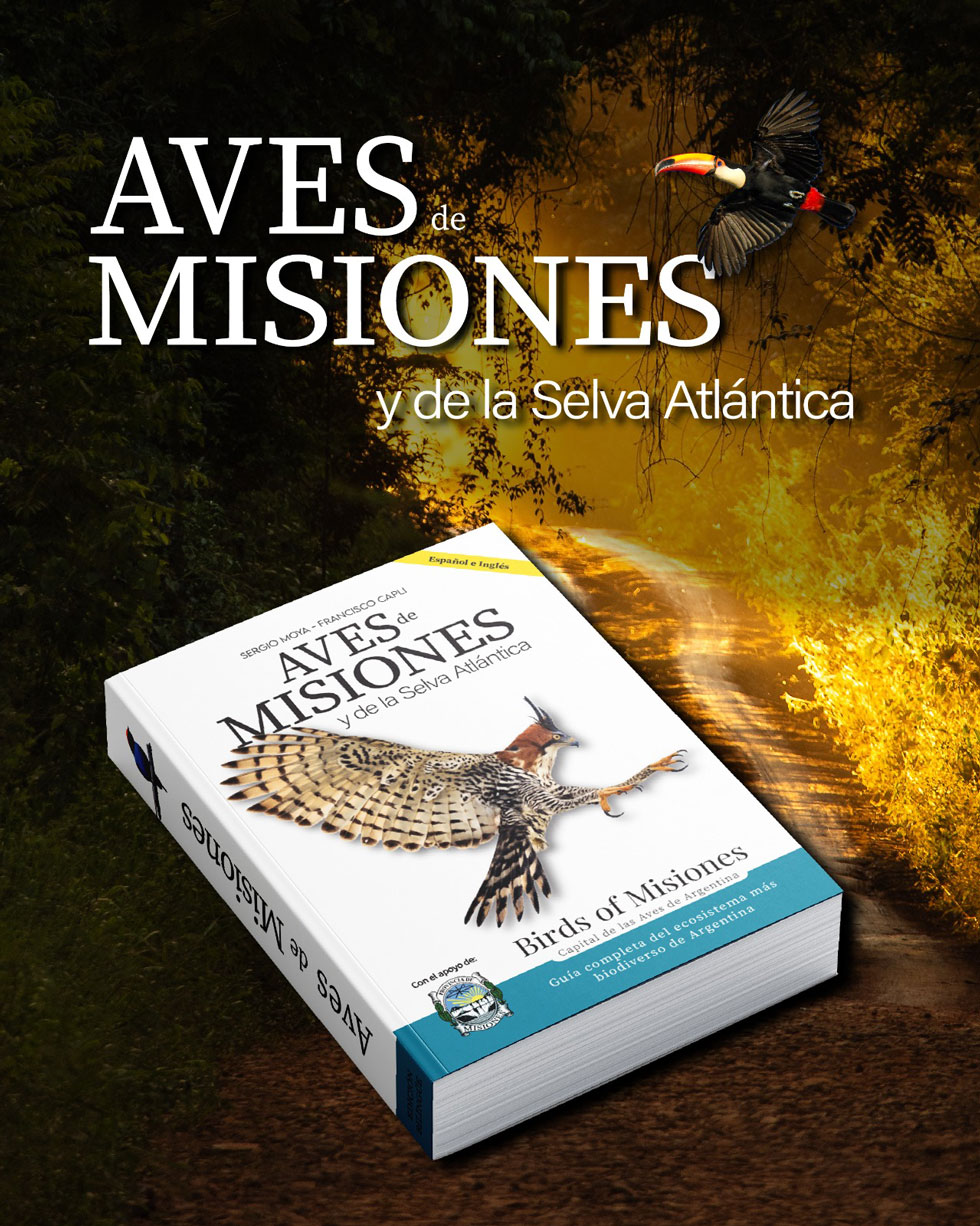 “Aves de Misiones y la Selva Atlántica”: la biodiversidad misionera toma la palabra en la Feria del Libro imagen-6