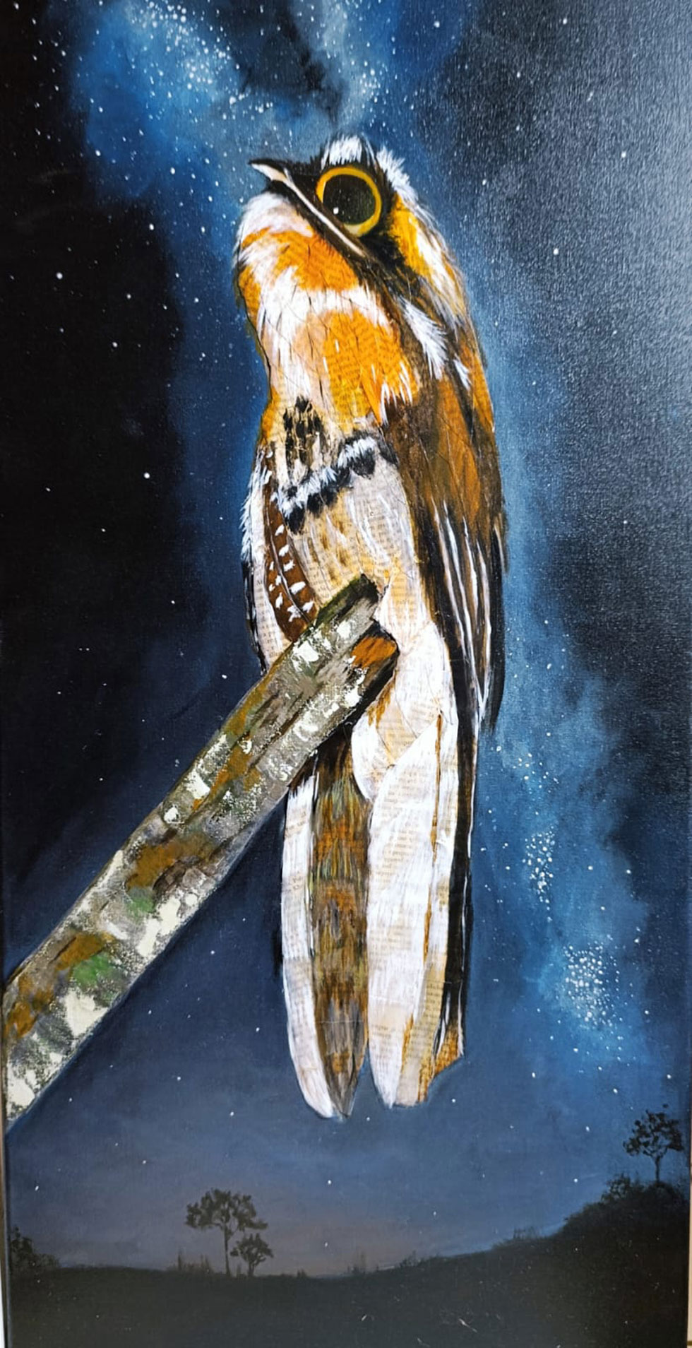 Mariana Botteron invita a redescubrir la selva misionera a través del arte imagen-7