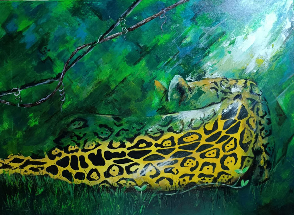 Mariana Botteron invita a redescubrir la selva misionera a través del arte imagen-13
