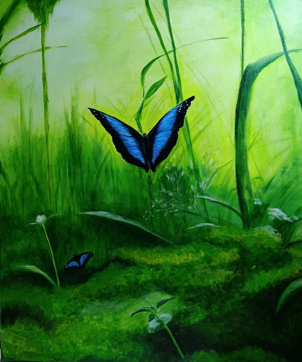 Mariana Botteron invita a redescubrir la selva misionera a través del arte imagen-15